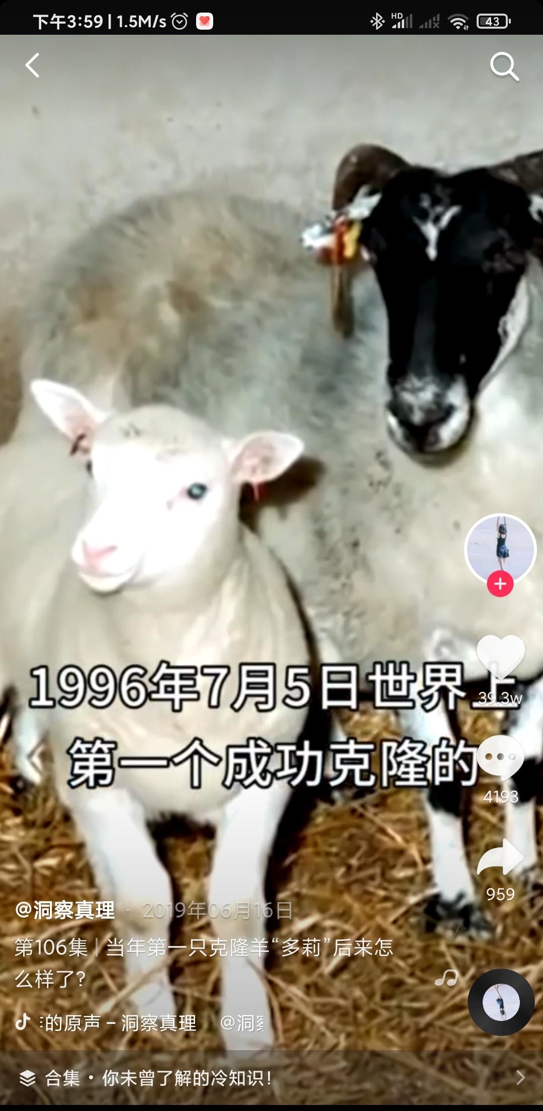克隆羊活了6年