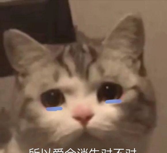 所以爱会消失对不对