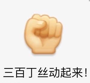 全网300丁丝