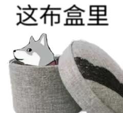 这河里马