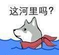这河里马