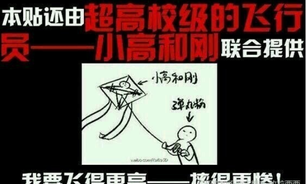 放飞小高