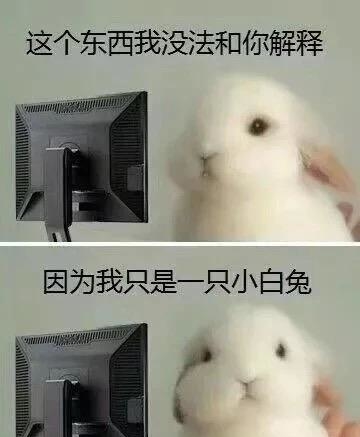 你妈逼的
