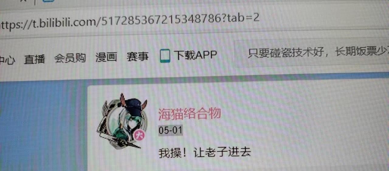 兔兔也进不去