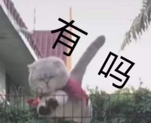 2020没有1