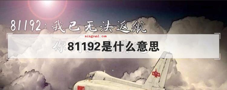 81192是什么意思