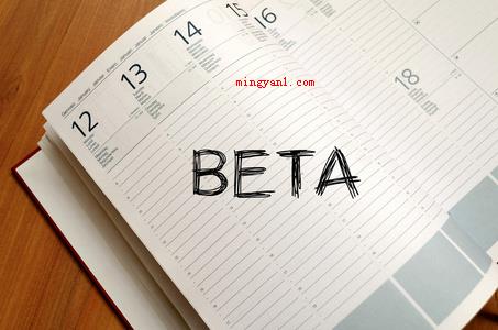 beta是什么意思