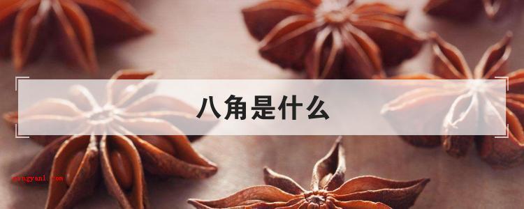 八角是什么