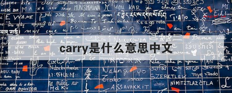 carry是什么意思中文