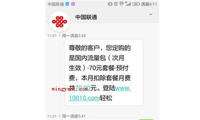 次月是什么意思
