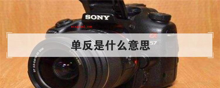 单反是什么意思