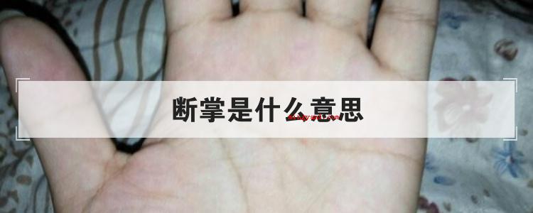 断掌是什么意思