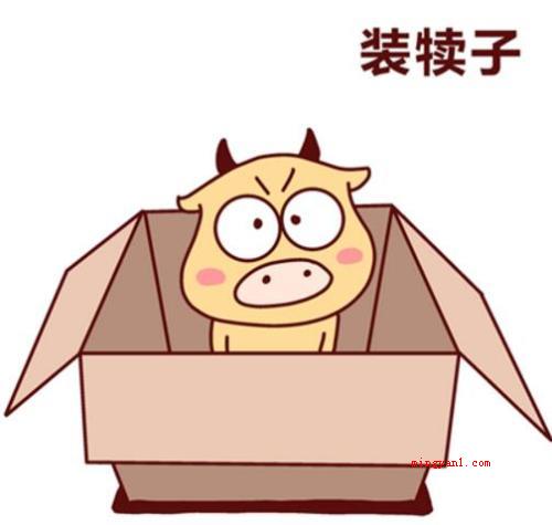 犊子是什么意思