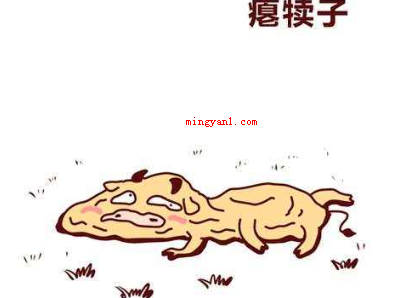 犊子是什么意思