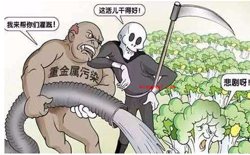 防腐剂过量属于食品污染的哪一种