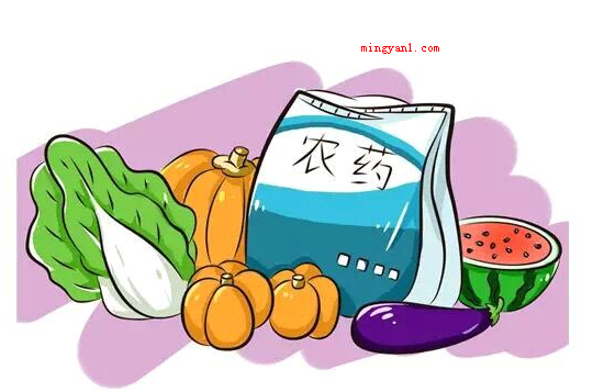 防腐剂过量属于食品污染的哪一种
