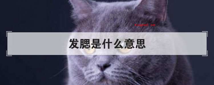 发腮是什么意思