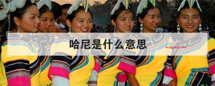 哈尼是什么意思