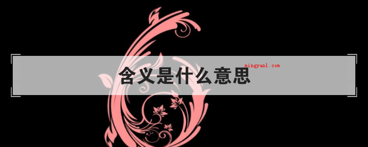 含义是什么意思