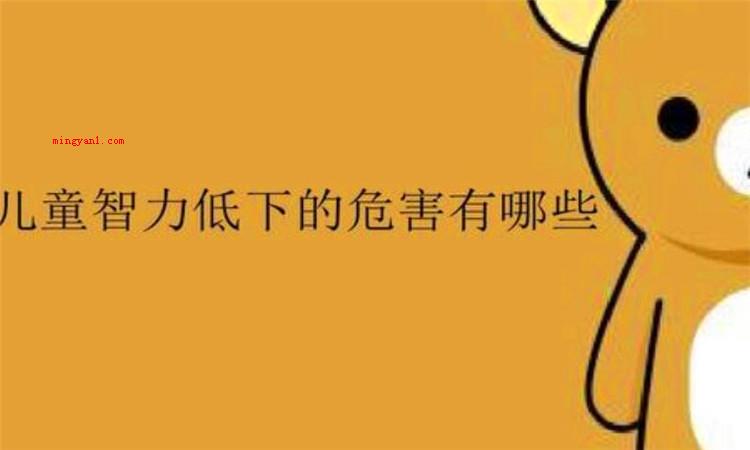 iq是什么意思