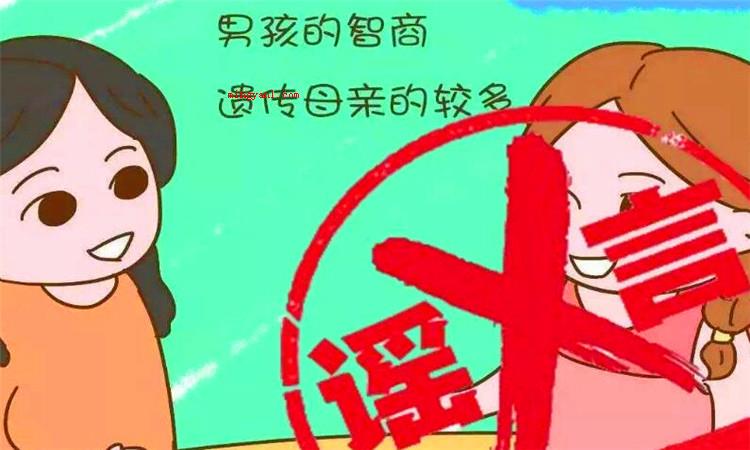 iq是什么意思