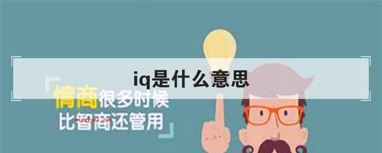 iq是什么意思