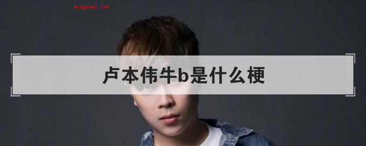 卢本伟牛b是什么梗