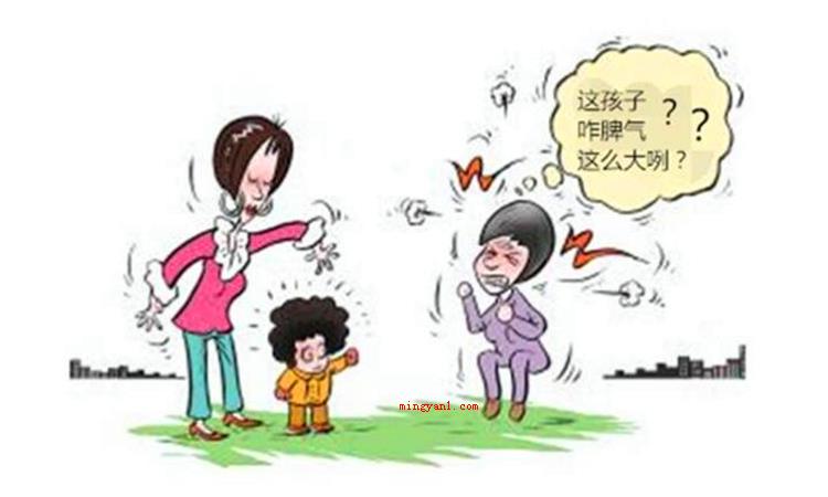 屡试不爽的爽是什么意思