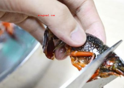 龙虾怎么洗