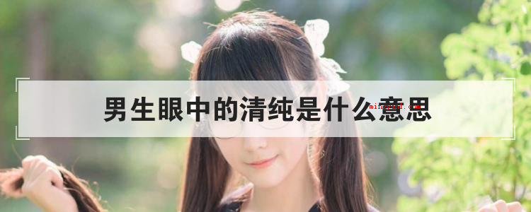男生眼中的清纯是什么意思
