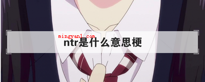 ntr是什么意思梗