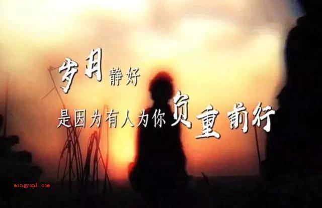 哪有什么岁月静好的完整诗句是什么?