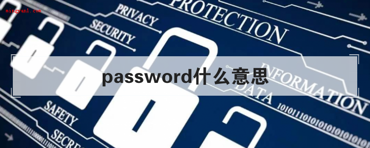 password什么意思