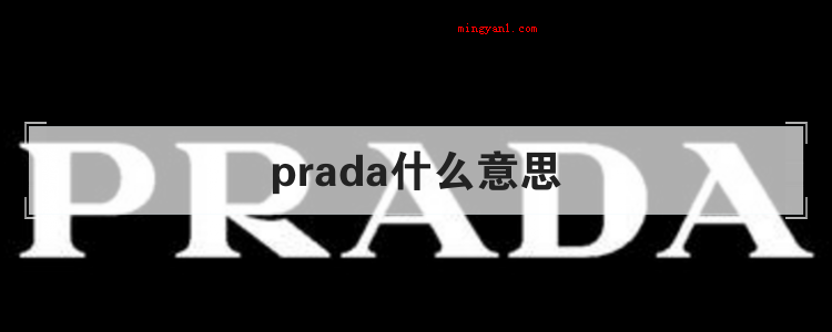prada什么意思