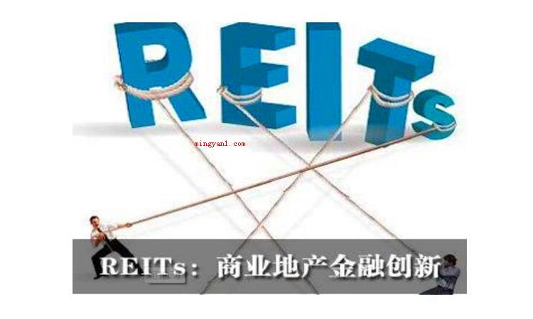 reits什么意思