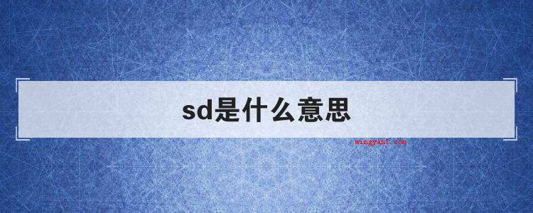 sd是什么意思