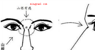 山根是什么