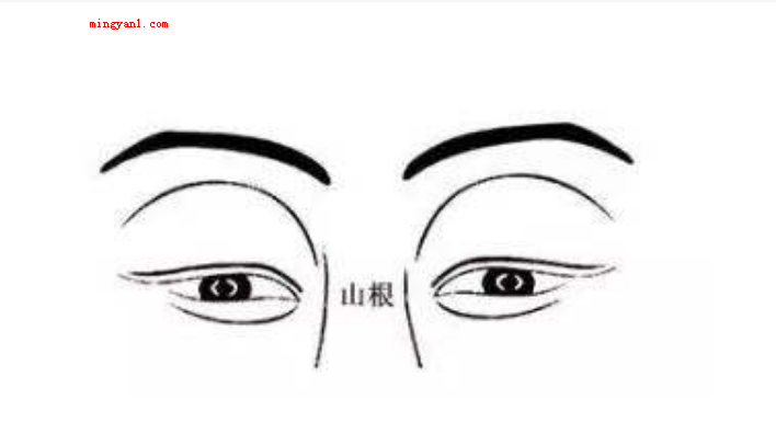 山根是什么