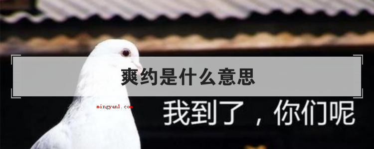爽约是什么意思