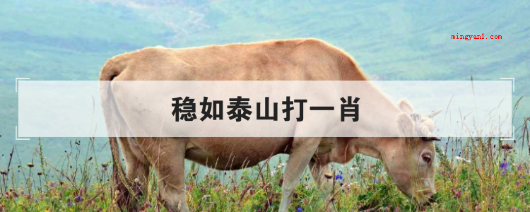 稳如泰山打一肖