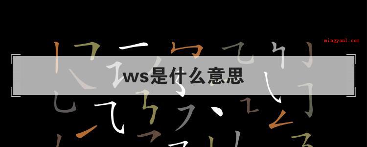 ws是什么意思