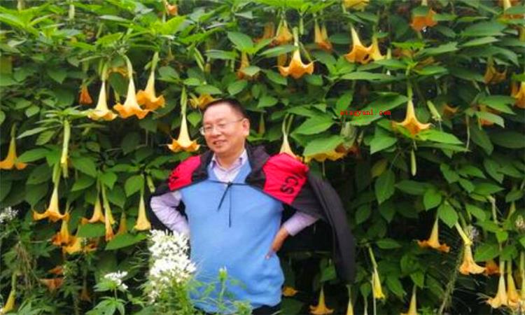 笑看人生什么意思