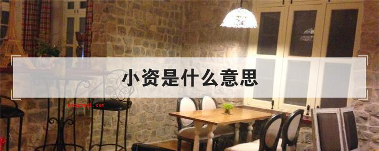 小资是什么意思