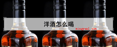 洋酒怎么喝