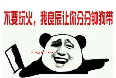 叶良辰是什么梗