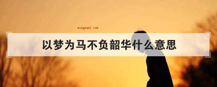 以梦为马不负韶华什么意思
