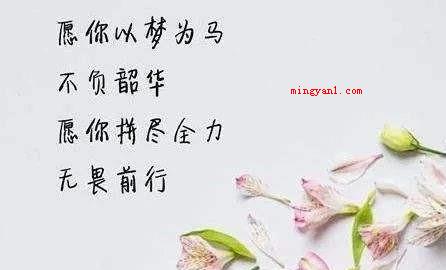 以梦为马不负韶华什么意思