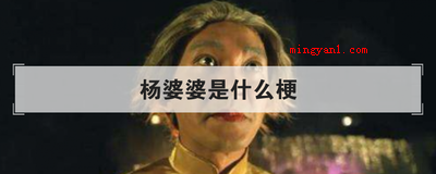 杨婆婆是什么梗