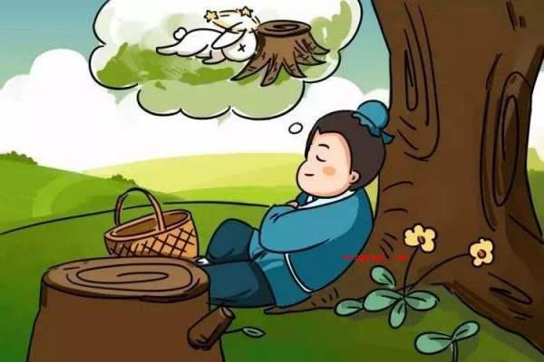 因释其耒而守株的释是什么意思