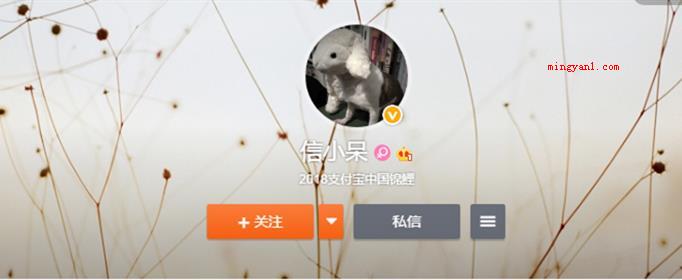 支付宝锦鲤是什么